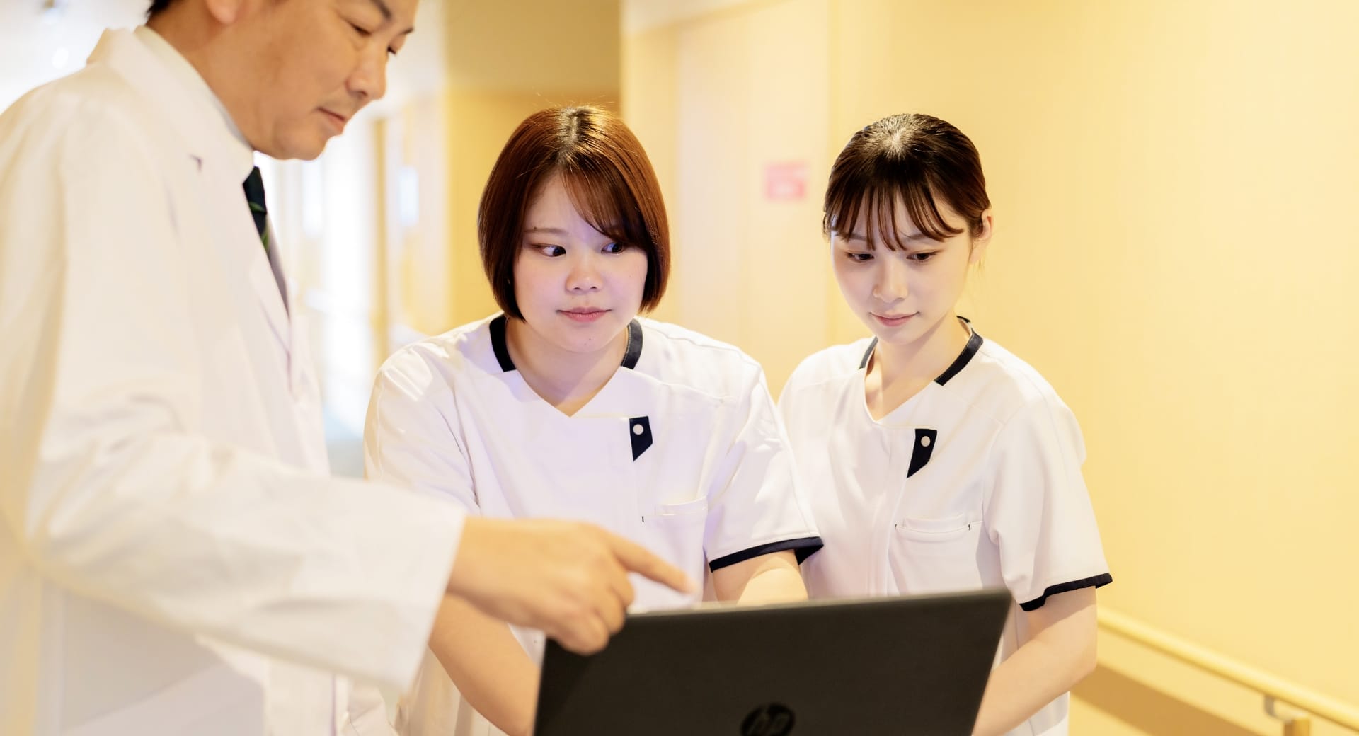新人教育